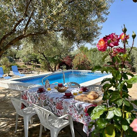Refugio Andaluz Con Piscina Entre Olivos Villanueva de Tapia Εξωτερικό φωτογραφία