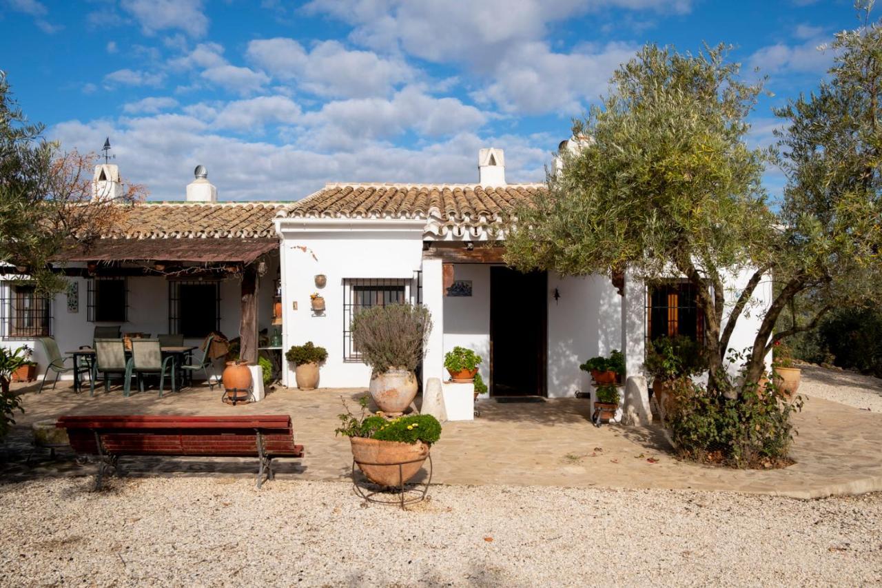 Refugio Andaluz Con Piscina Entre Olivos Villanueva de Tapia Εξωτερικό φωτογραφία
