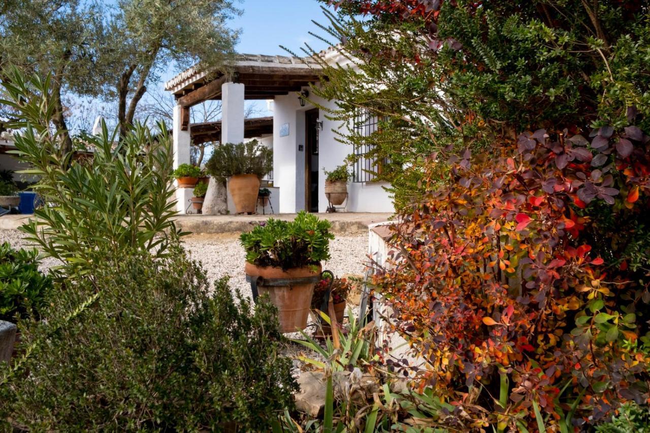 Refugio Andaluz Con Piscina Entre Olivos Villanueva de Tapia Εξωτερικό φωτογραφία