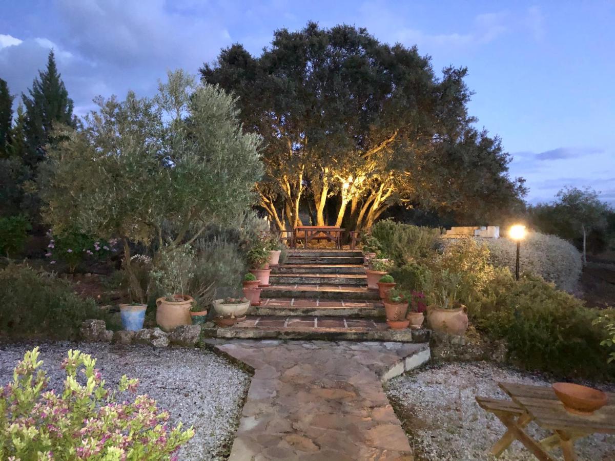 Refugio Andaluz Con Piscina Entre Olivos Villanueva de Tapia Εξωτερικό φωτογραφία