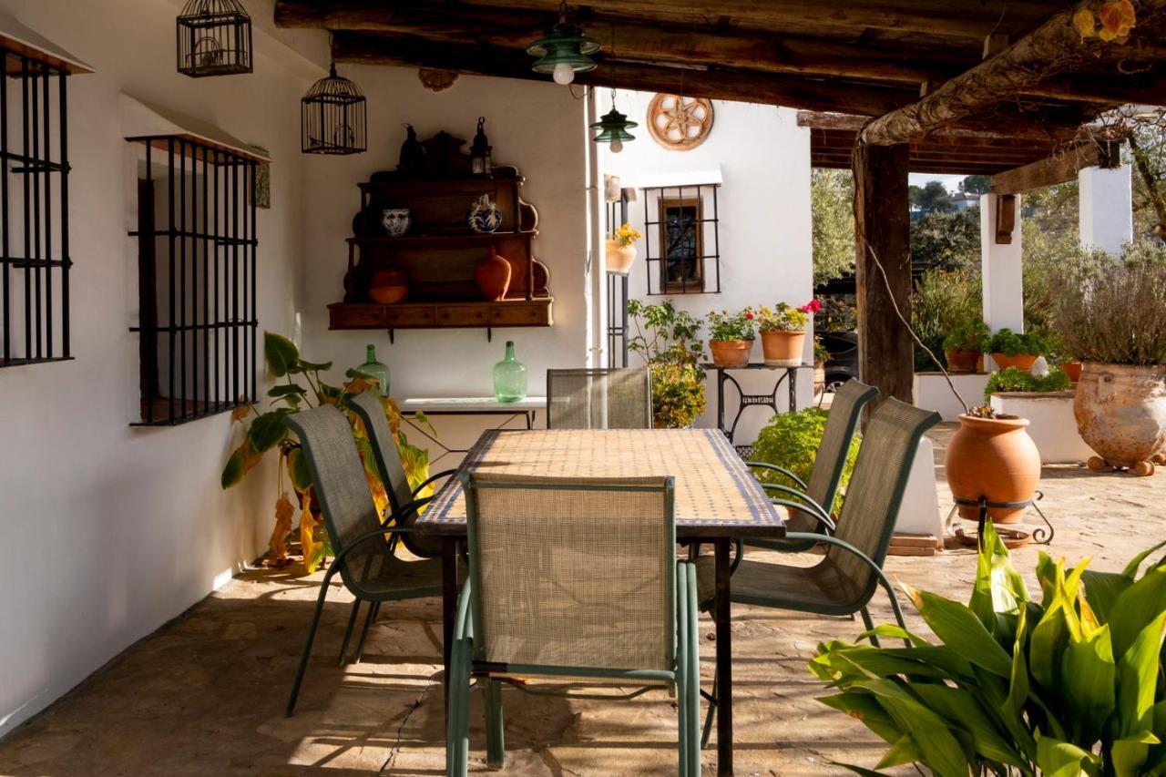 Refugio Andaluz Con Piscina Entre Olivos Villanueva de Tapia Εξωτερικό φωτογραφία