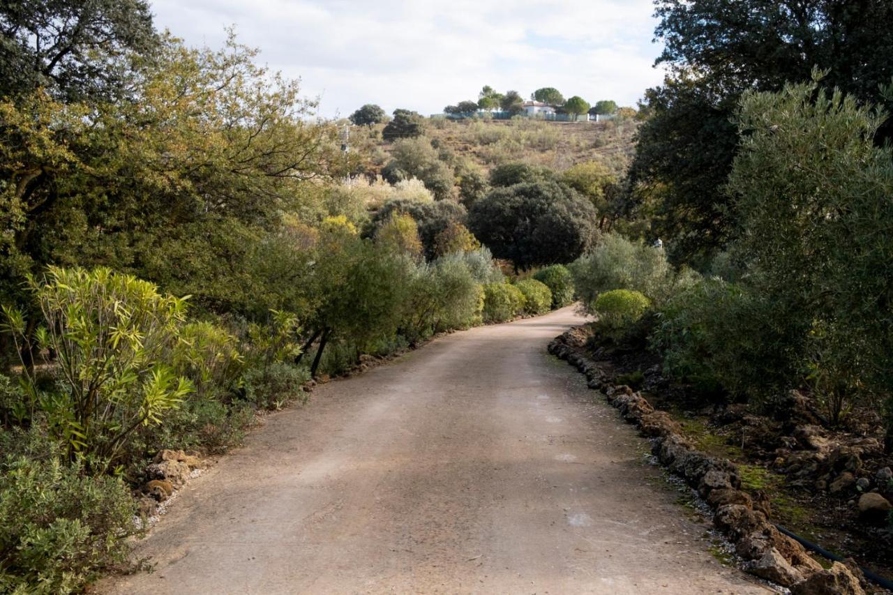 Refugio Andaluz Con Piscina Entre Olivos Villanueva de Tapia Εξωτερικό φωτογραφία