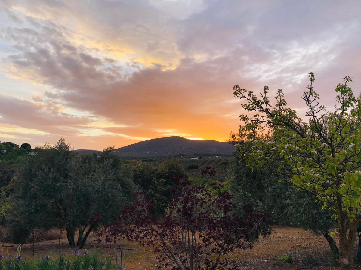 Refugio Andaluz Con Piscina Entre Olivos Villanueva de Tapia Εξωτερικό φωτογραφία