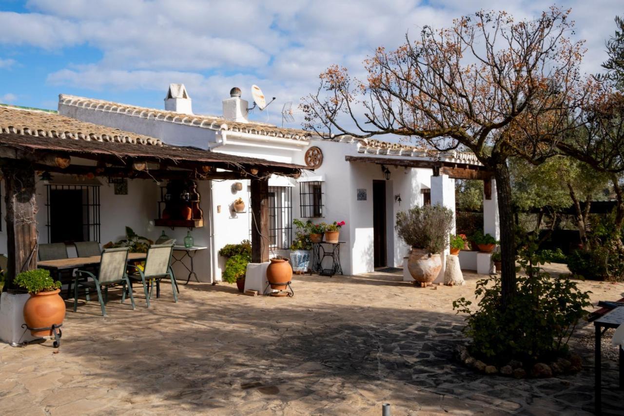 Refugio Andaluz Con Piscina Entre Olivos Villanueva de Tapia Εξωτερικό φωτογραφία