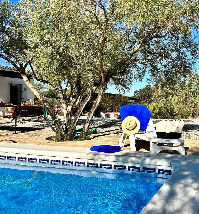 Refugio Andaluz Con Piscina Entre Olivos Villanueva de Tapia Εξωτερικό φωτογραφία