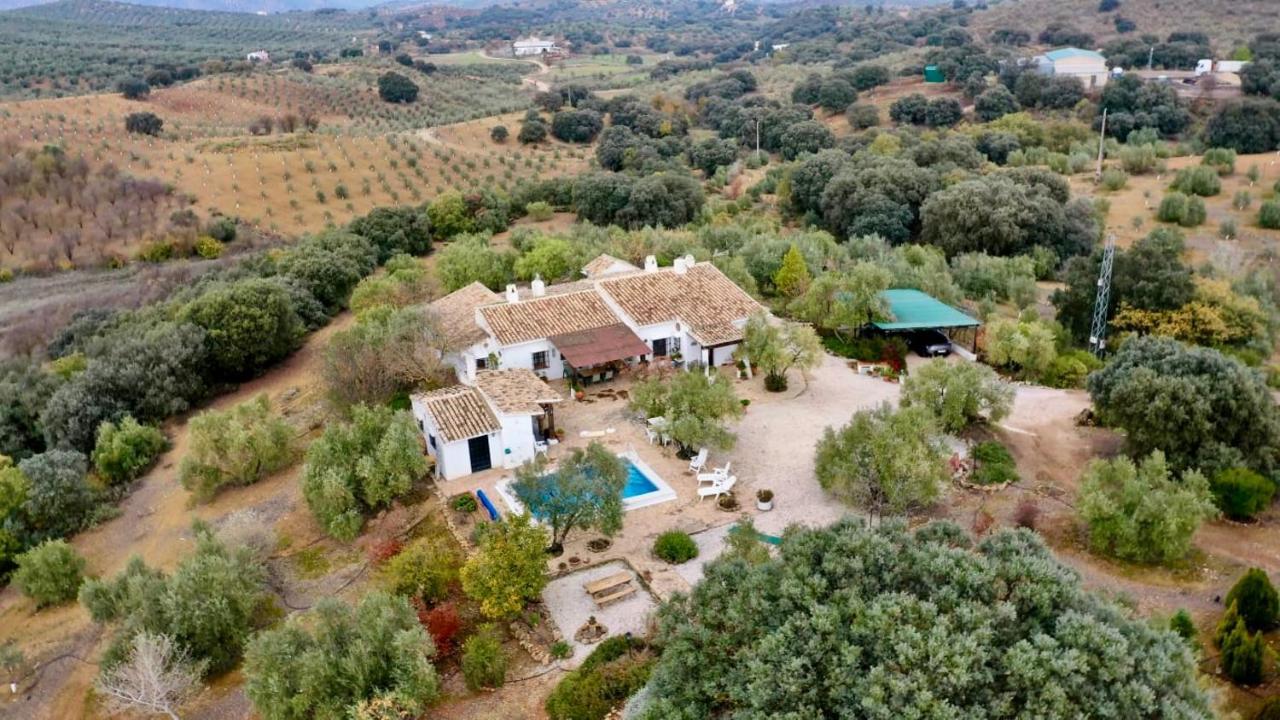 Refugio Andaluz Con Piscina Entre Olivos Villanueva de Tapia Εξωτερικό φωτογραφία
