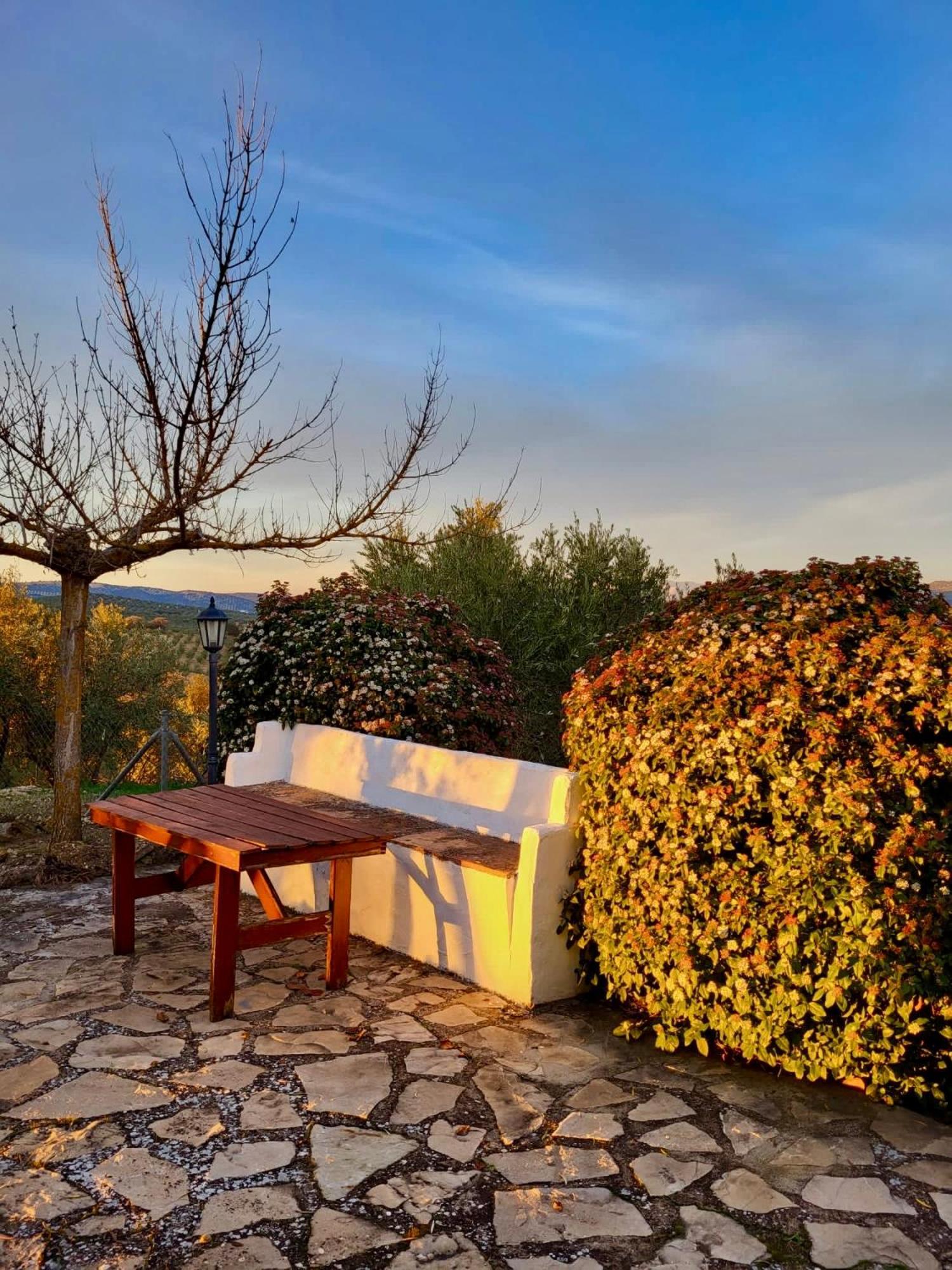 Refugio Andaluz Con Piscina Entre Olivos Villanueva de Tapia Εξωτερικό φωτογραφία
