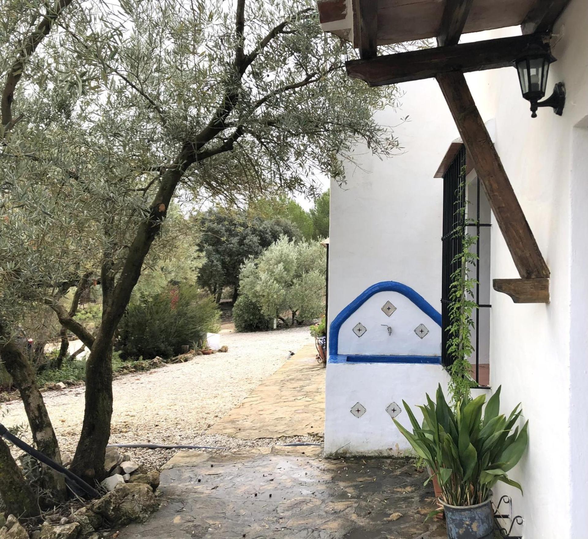 Refugio Andaluz Con Piscina Entre Olivos Villanueva de Tapia Εξωτερικό φωτογραφία