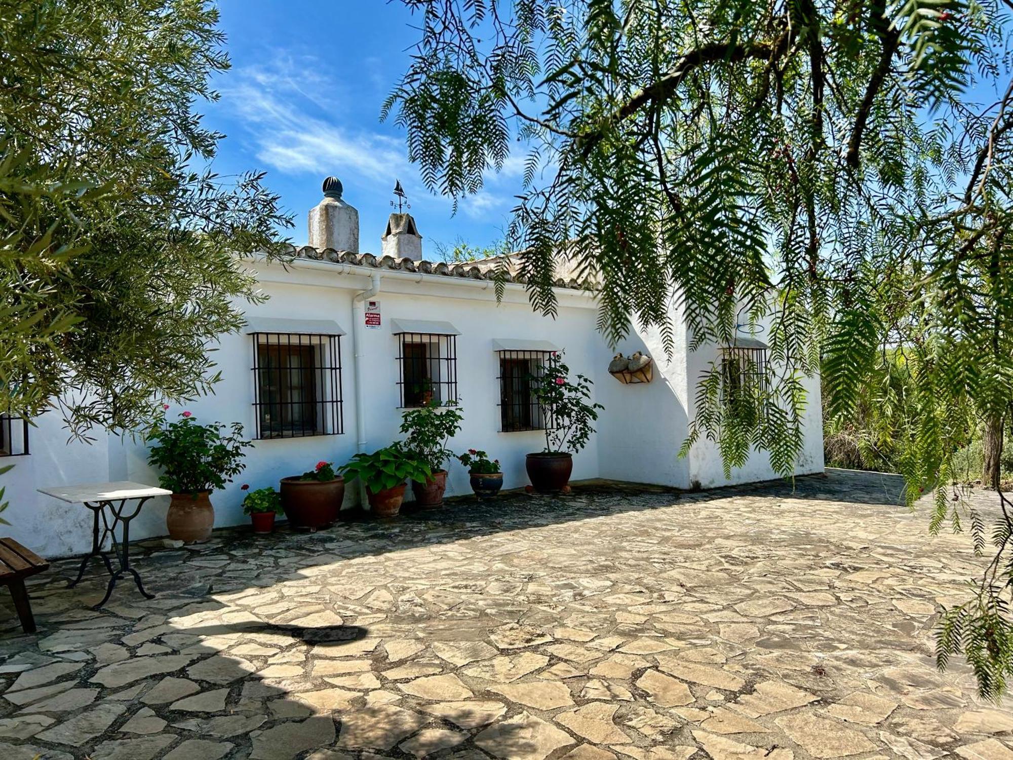 Refugio Andaluz Con Piscina Entre Olivos Villanueva de Tapia Εξωτερικό φωτογραφία