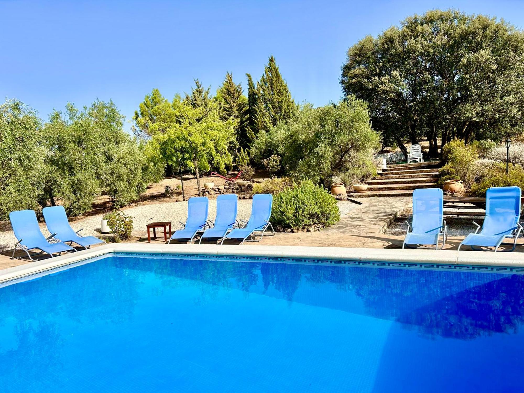 Refugio Andaluz Con Piscina Entre Olivos Villanueva de Tapia Εξωτερικό φωτογραφία